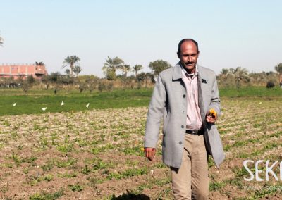 Zwei SEKEM-Bauern erzählen von Verantwortung, Chancen und Herausforderungen der Landwirtschaft in Ägypten